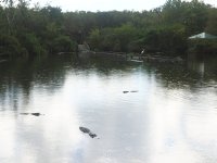 PA278044.JPG