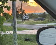 IMG_5470.jpeg