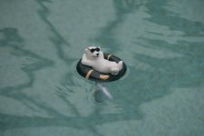 IMG_9436.jpeg