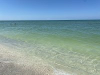 IMG_8224.jpeg