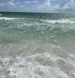 IMG_8579.jpeg
