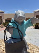 IMG_5482.jpeg