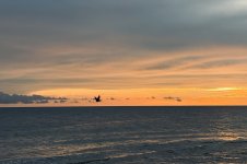 IMG_5573.jpeg