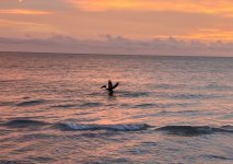 IMG_5632.jpeg