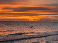 IMG_5641.jpeg