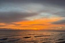 IMG_5629.jpeg