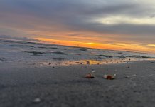 78B6F184-5B0C-4AC8-9E2E-8019B85A3A02.jpeg