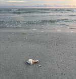 IMG_5590.jpeg
