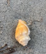 IMG_5593.jpeg