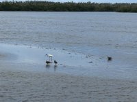 IMG_5120.JPG