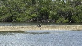 IMG_E5123.JPG