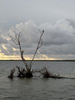 IMG_5160.JPG