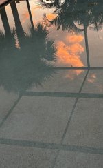 IMG_5492.jpeg