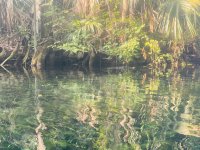 IMG_2573.jpeg