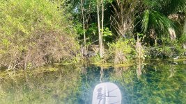 IMG_2613.jpeg