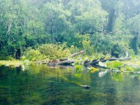 IMG_2660.jpeg