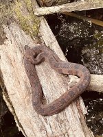 IMG_2780.jpeg
