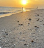 IMG_5791.jpeg