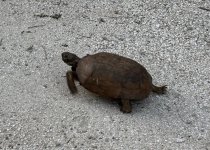 IMG_5810.jpeg