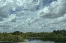 IMG_5827.jpeg