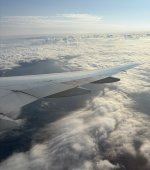 IMG_5916.jpeg