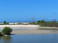 IMG_0911.JPG