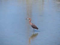 IMG_0913.JPG