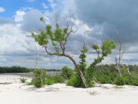 IMG_0926.JPG
