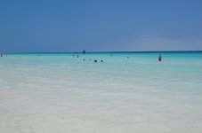 IMG_5349.jpeg