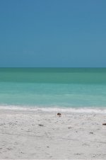 IMG_5348.jpeg
