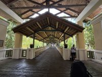 IMG_5328.JPG