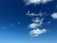 IMG_6152K.JPG