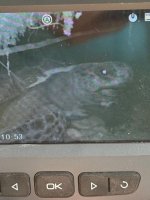 IMG_6211K.JPG