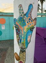 IMG_6248K.JPG