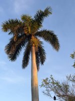 IMG_6259K.JPG