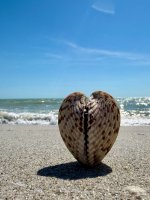 IMG_E6300K.JPG