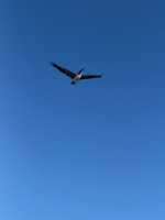 IMG_6124K.JPG