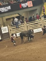 IMG_9288.jpg