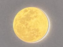 IMG_9360.jpeg