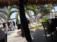 IMG_9409.jpeg