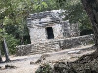IMG_9430.jpeg