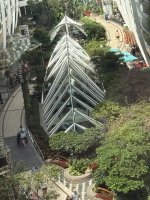 IMG_9466.jpeg