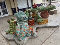 IMG_9498.jpeg
