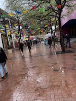 IMG_9499.jpeg