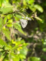 IMG_5707.JPG