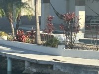 IMG_4917.JPEG