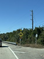 IMG_4951.JPEG