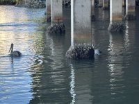 IMG_4962.JPEG