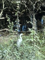 IMG_4942 (1).JPEG