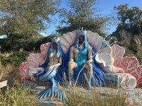 IMG_5136.JPEG IMG_5136.JPEG